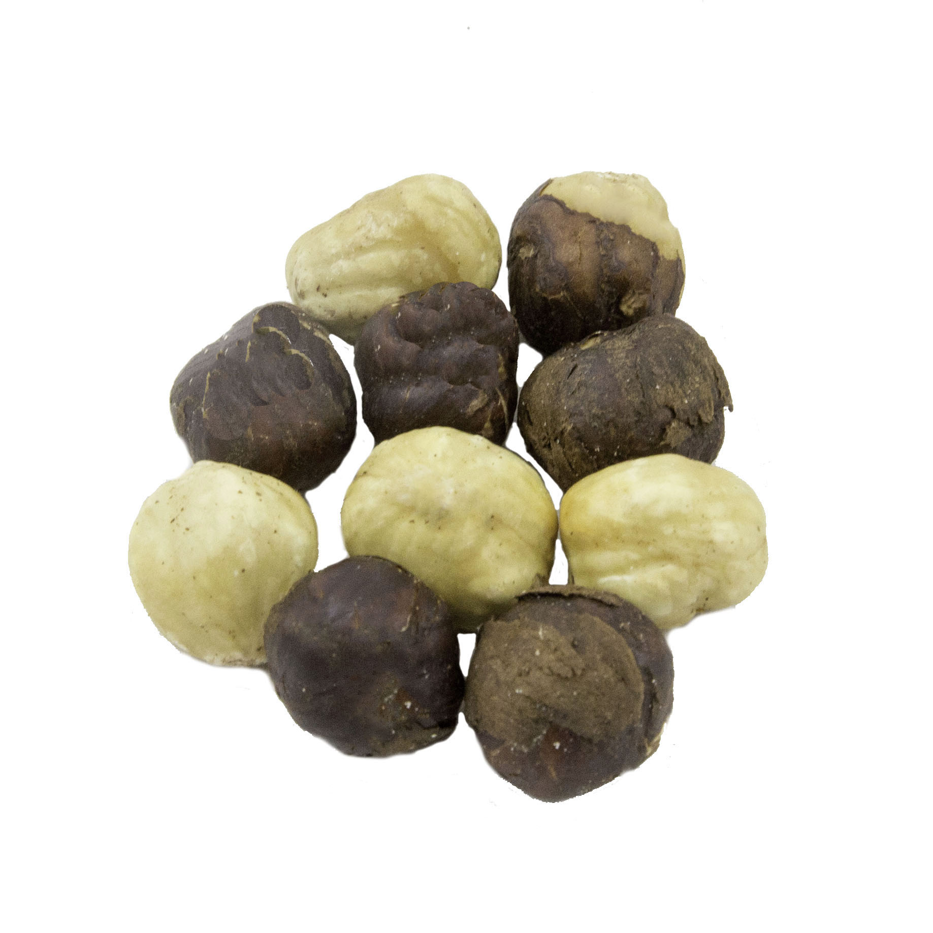 Roasted Filberts (Hazelnuts)