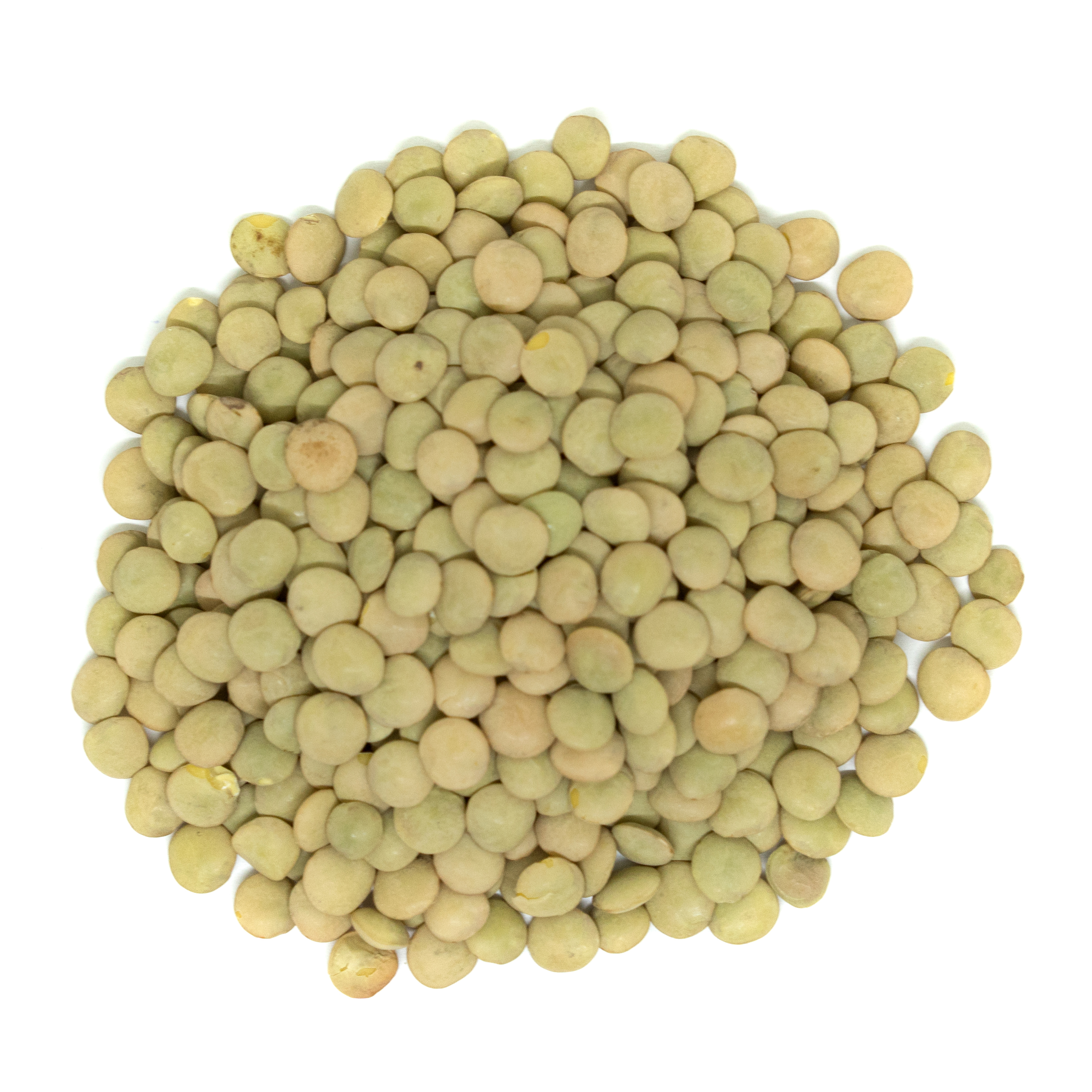 Organic Green Lentils