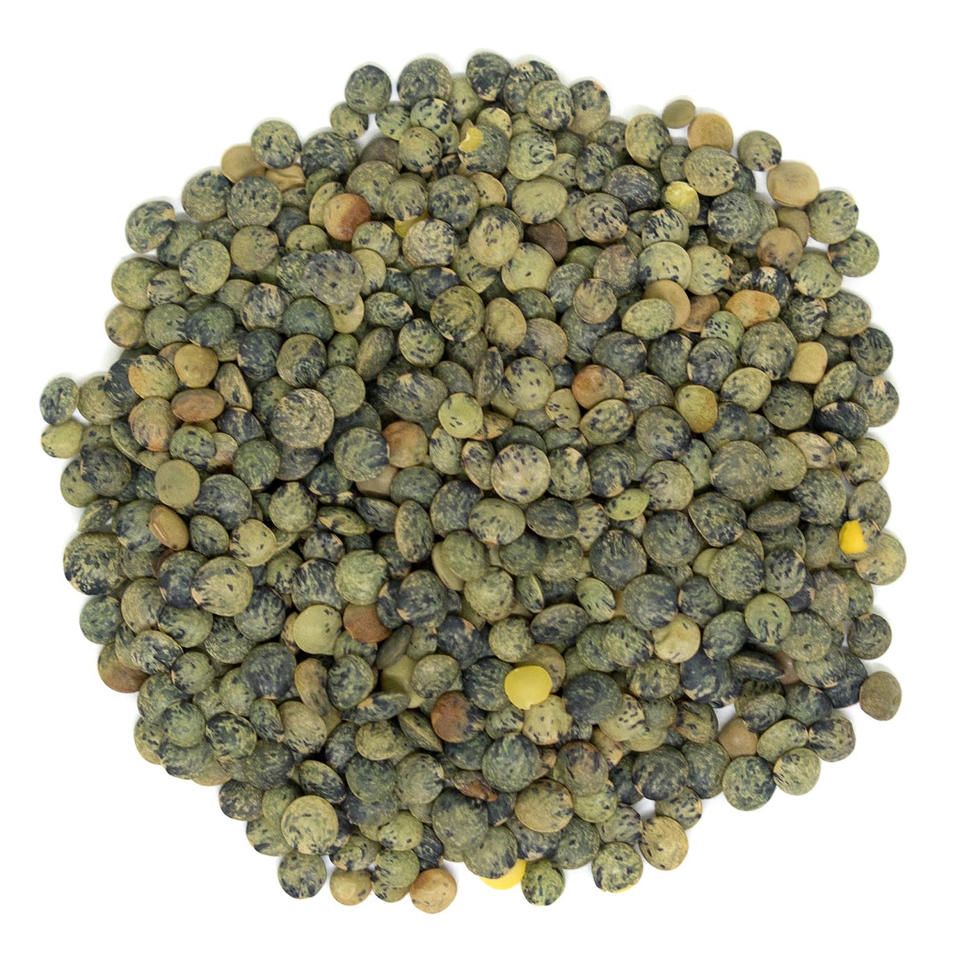 Organic French du Puy Lentils