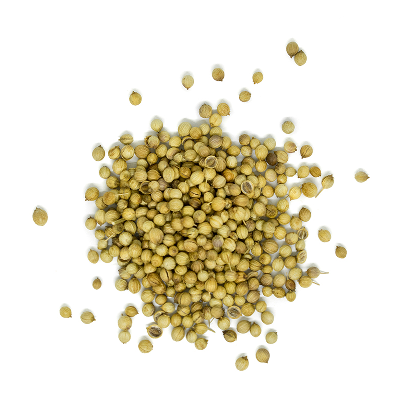 Organic Whole Coriander Seed