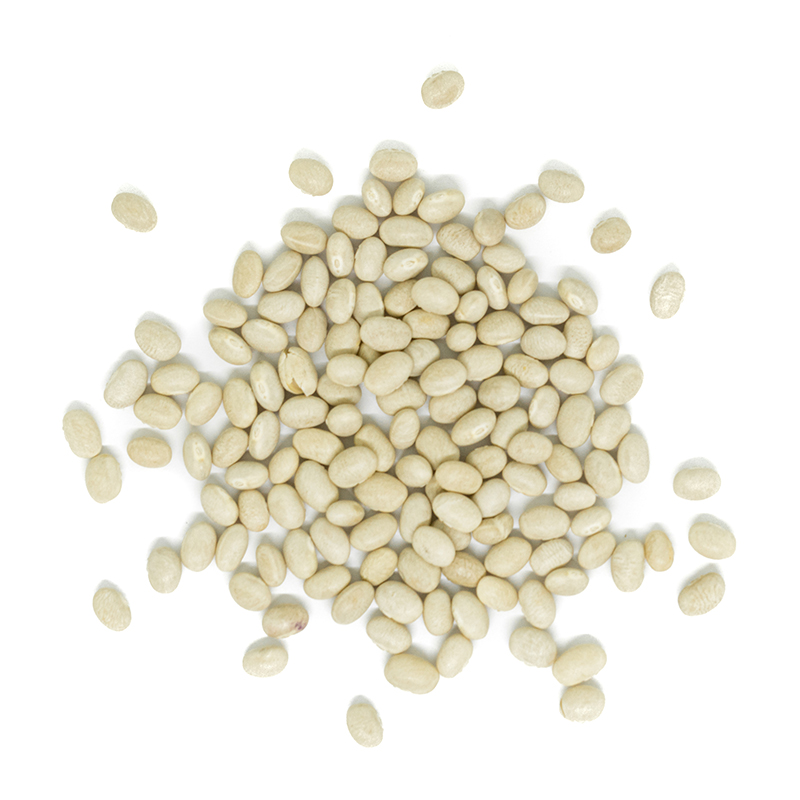 Organic Navy Beans