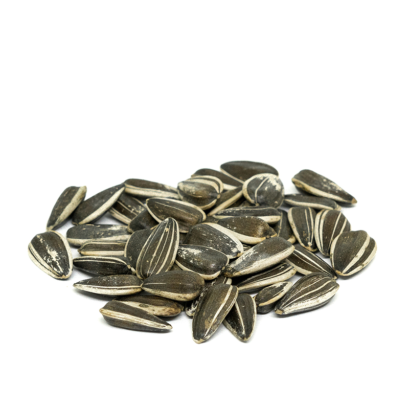 Sunflower Seed In Shell