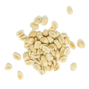 Organic Roasted Blanched Peanuts