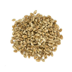 Organic Hard Wheat Kernels