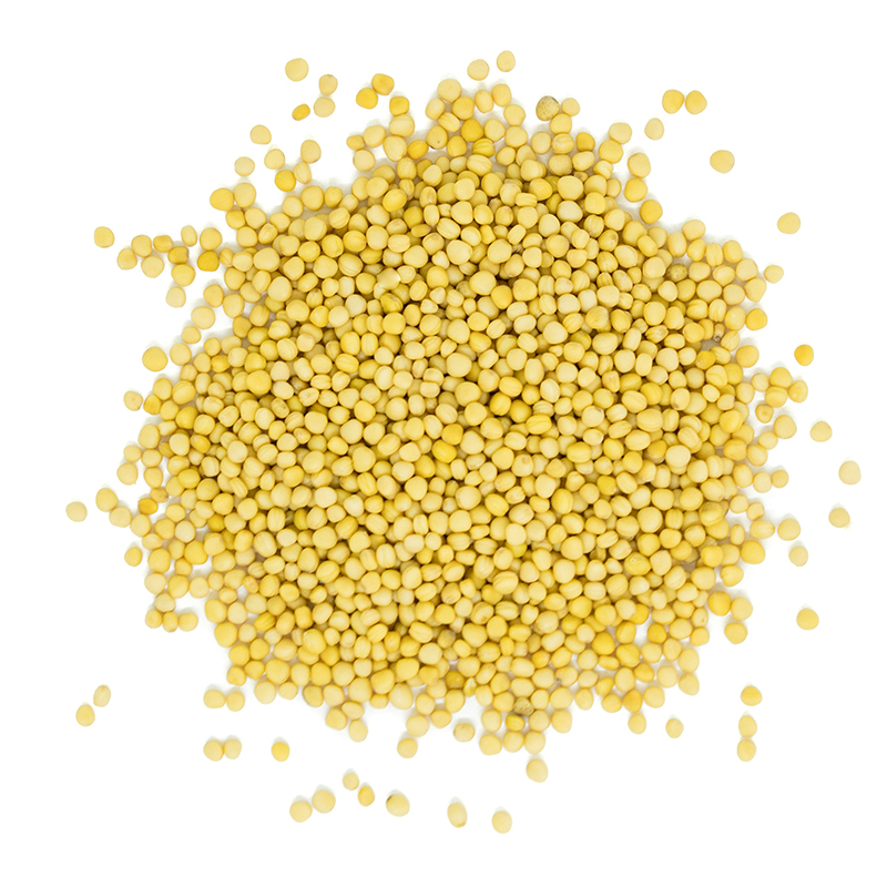 Organic Yellow Mustard Seed