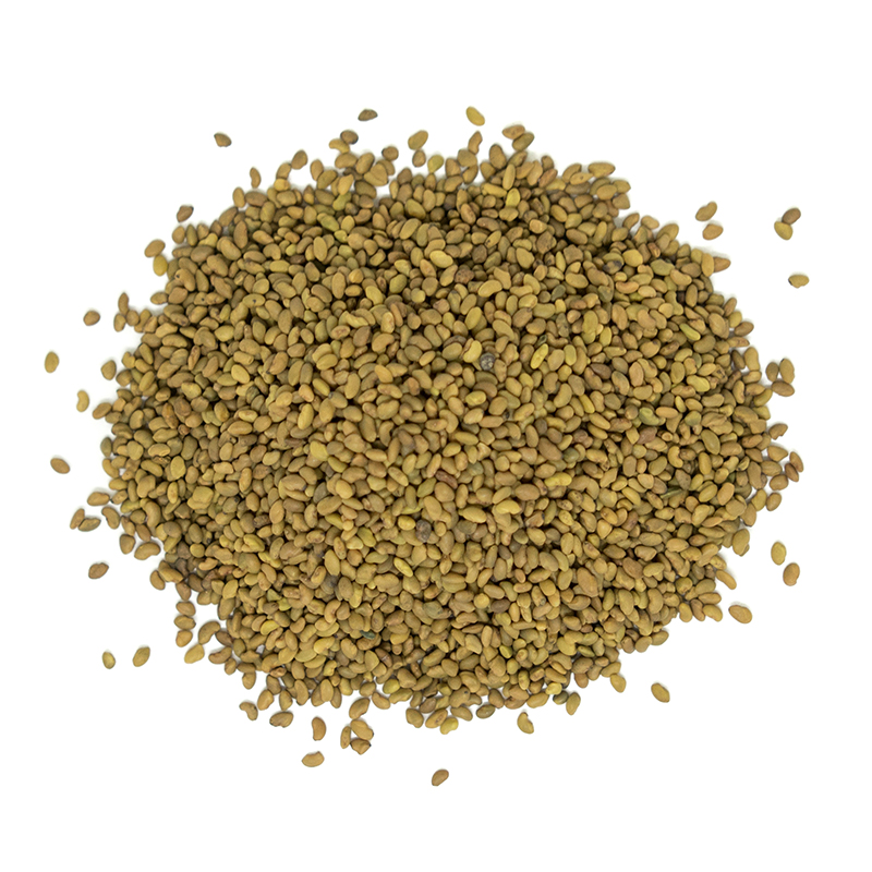 Organic Alfalfa Seeds