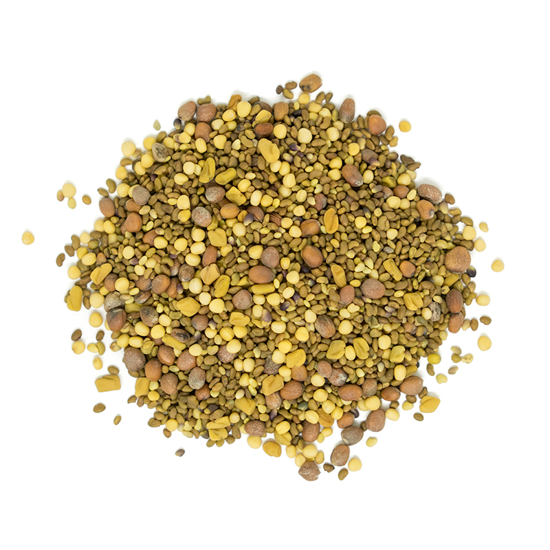 Organic A-Go-Go Sprouting Mix