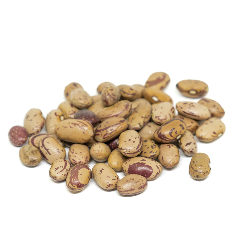 Organic Pinto Beans