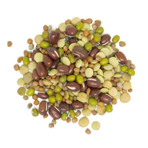 Organic Bean Salad Sprouting Mix