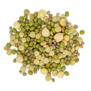 Organic Gourmet Sprouting Mix