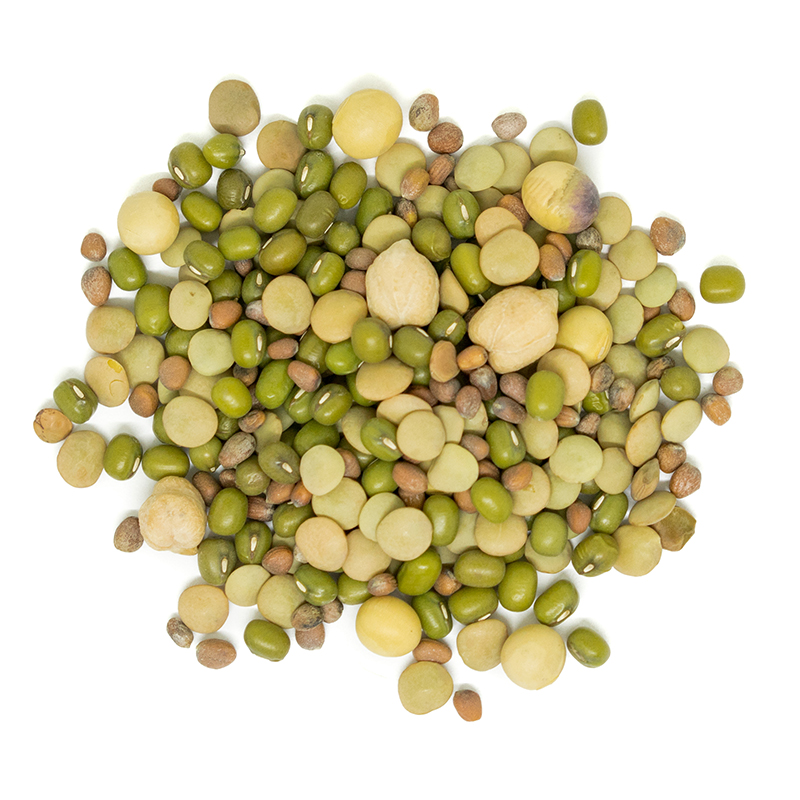 Organic Gourmet Sprouting Mix