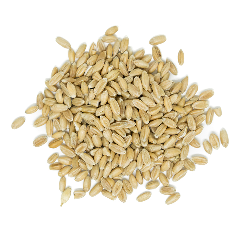 Organic Spelt Kernels