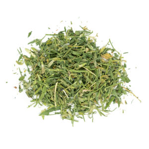 Alfalfa Herb