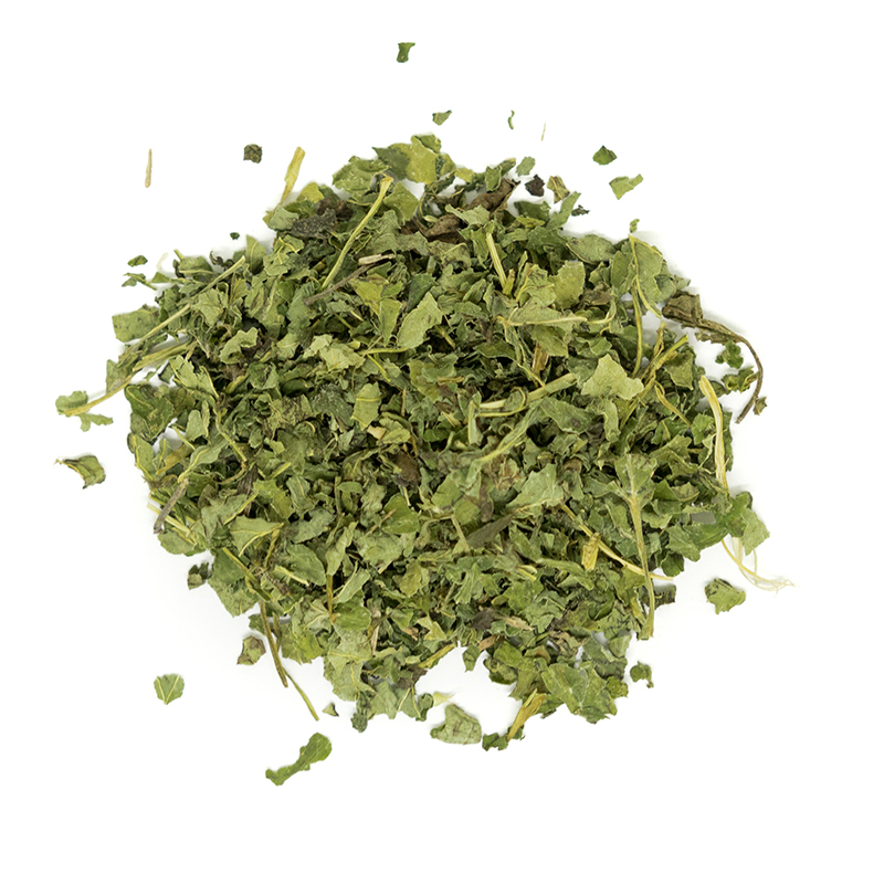 Lemon Balm Leaf