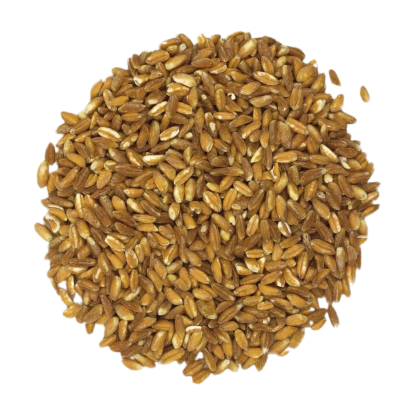 Organic Kernels, Farro (Emmer)